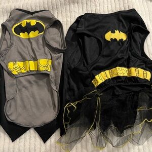 Small Doggie Halloween Batman and Robin Costume Set - Black, Gray, and Yellow